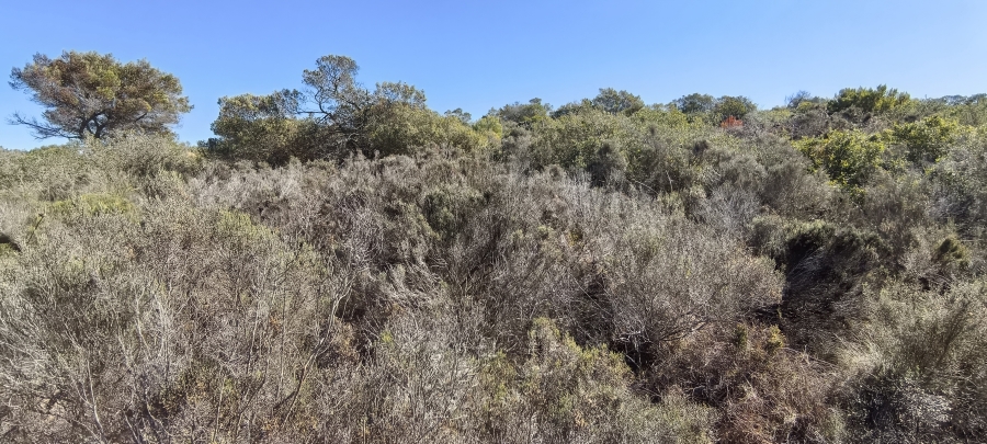 0 Bedroom Property for Sale in Num Num Cape Estate Western Cape